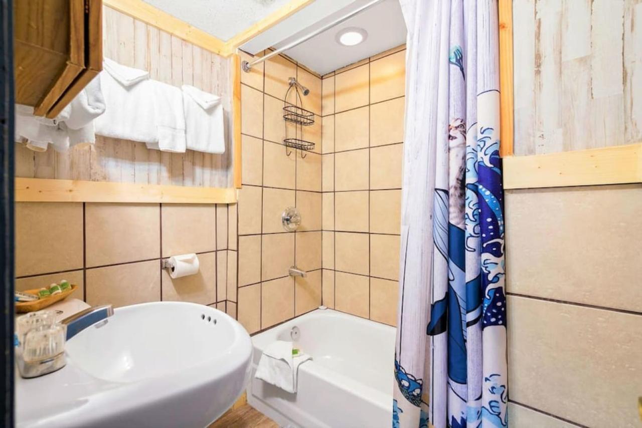 4 Spacious Dog Friendly Cozy * Leadville