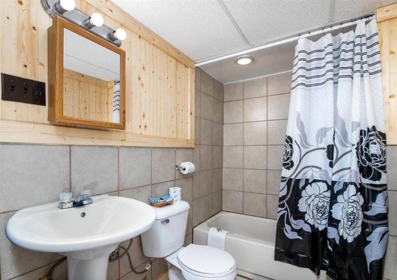 4 Spacious Dog Friendly Cozy * Leadville