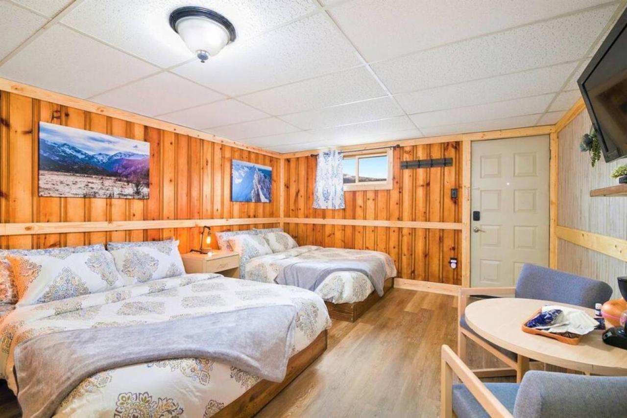 4 Spacious Dog Friendly Cozy Apartment *